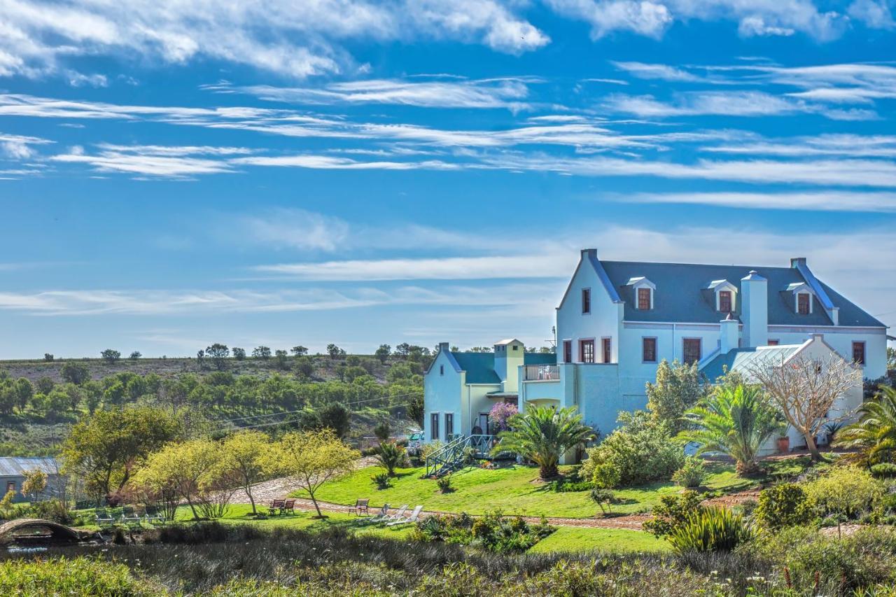 Peace Valley Guesthouse Napier Экстерьер фото